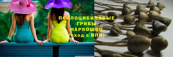 ECSTASY Алексеевка