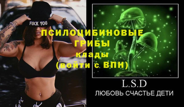 ECSTASY Алексин