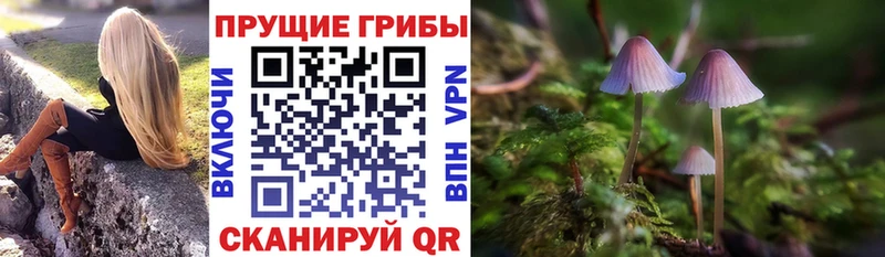 omg зеркало  как найти закладки  Горбатов  Псилоцибиновые грибы ЛСД 